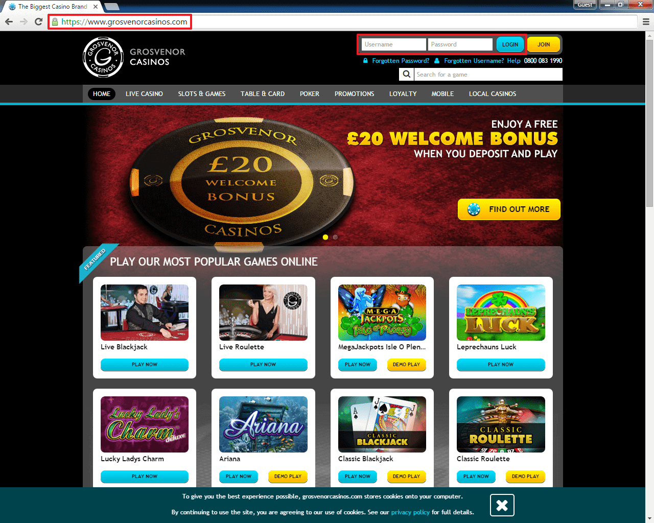 24h casino free spins bill