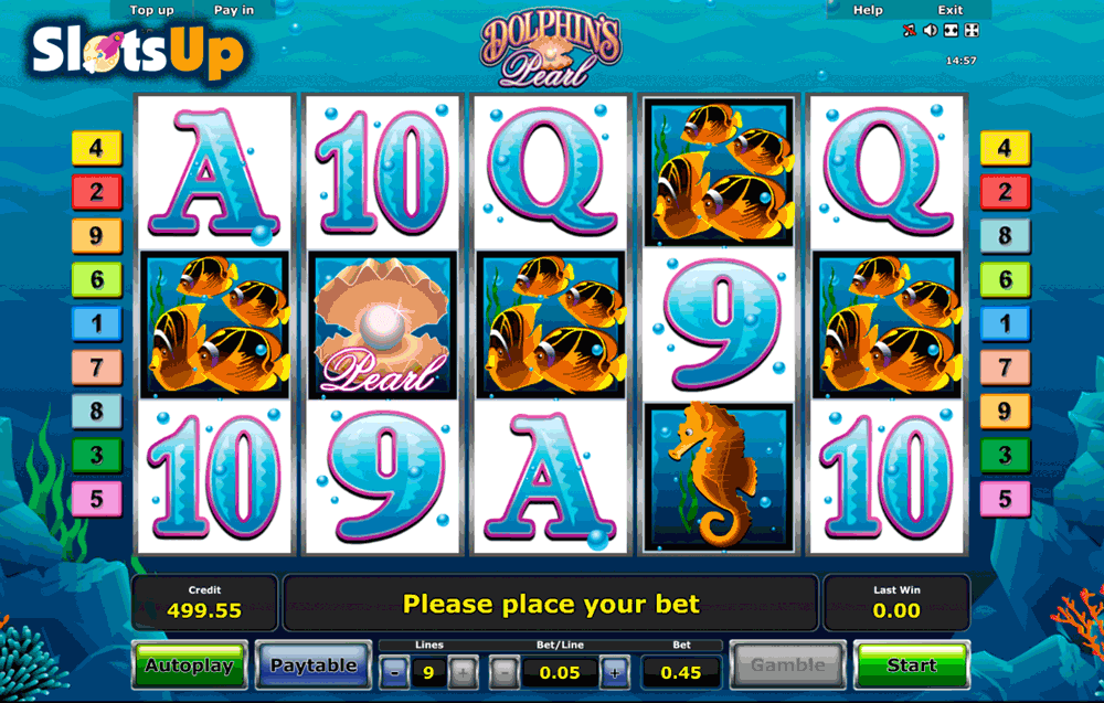 Casino official website MiamiDice winning